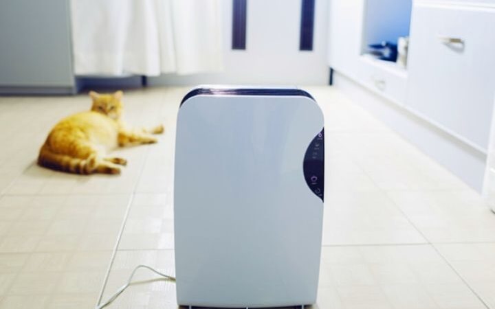 What Are Best Air Purifiers for Home?