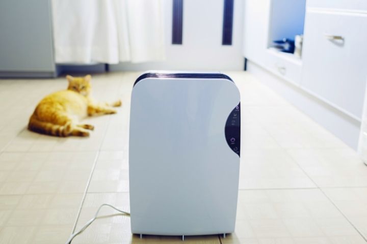 What Are Best Air Purifiers for Home?