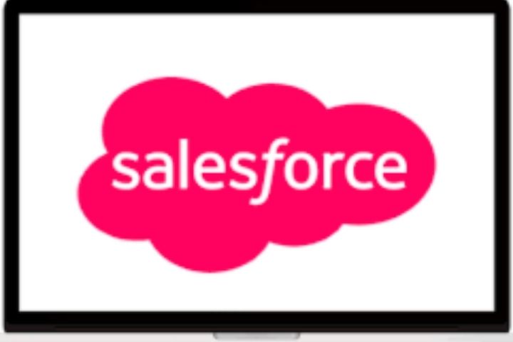 What Are The Functions Of The Salesforce?