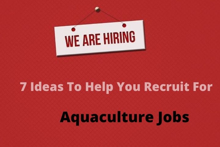 7 Ideas To Help You Recruit For Aquaculture Jobs