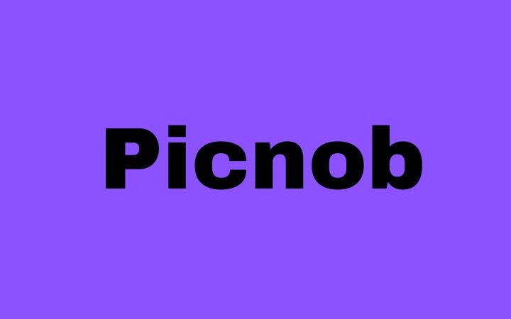 Picnob: The Ultimate Instagram Viewer And Downloader