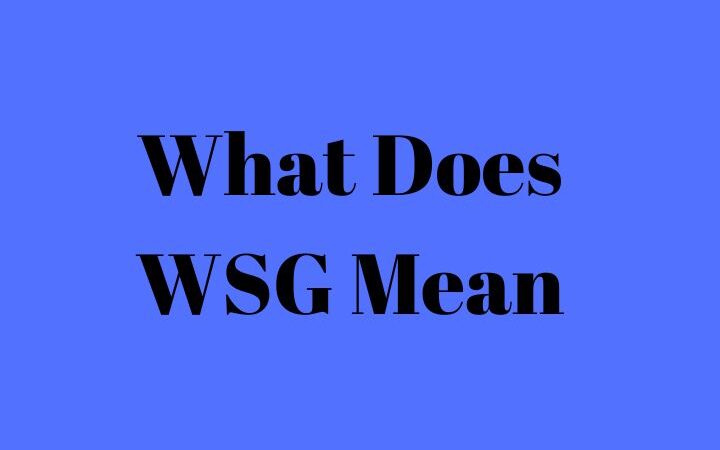 What Does WSG Mean?