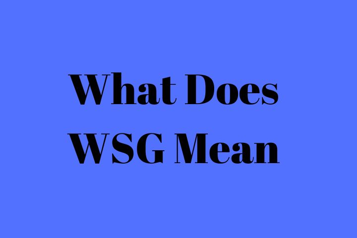 What Does WSG Mean?