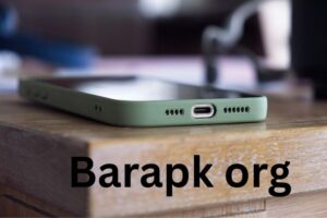 Barapk org