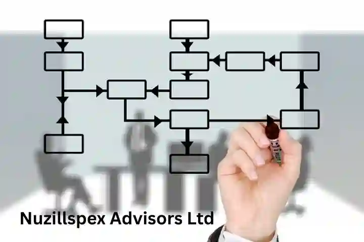 Nuzillspex Advisors Ltd – Comprehensive Overview of a Global Consulting and Advisory Firm