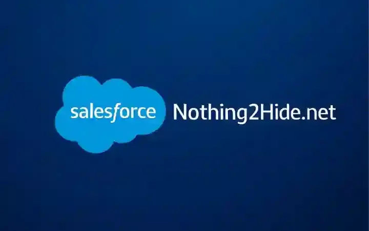 Nothing2Hide.net Salesforce : Empowering Businesses with Smart CRM Solutions
