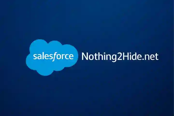 Nothing2Hide.net Salesforce : Empowering Businesses with Smart CRM Solutions